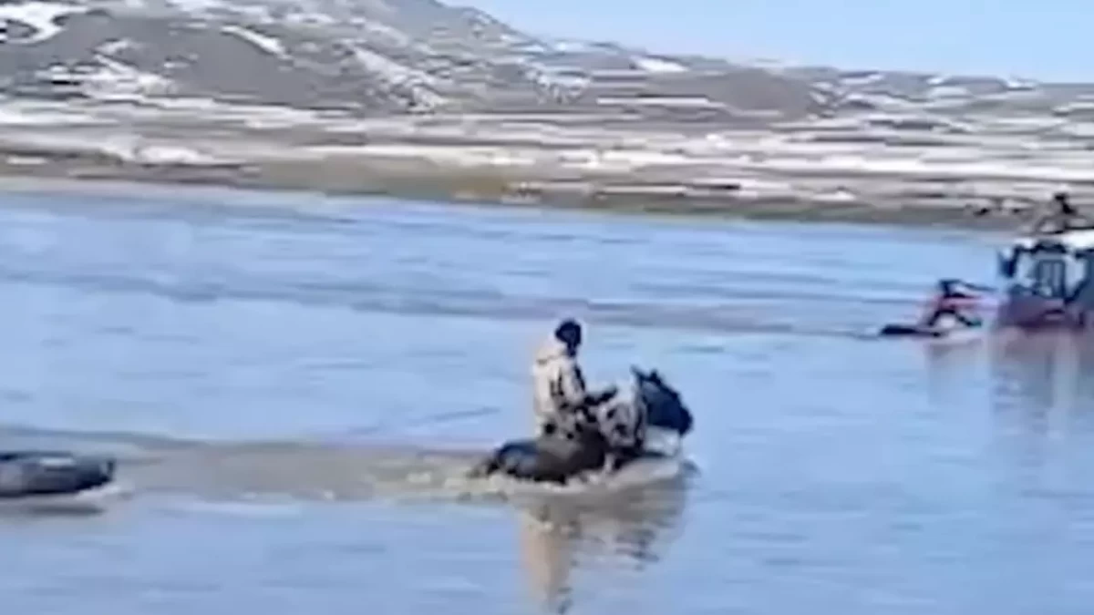 Шығыс өңірін сел басып, ауылдар су астында қалды