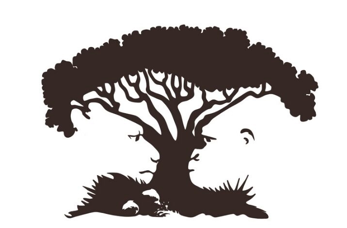 Тест. Қандай сырыңыз бар?