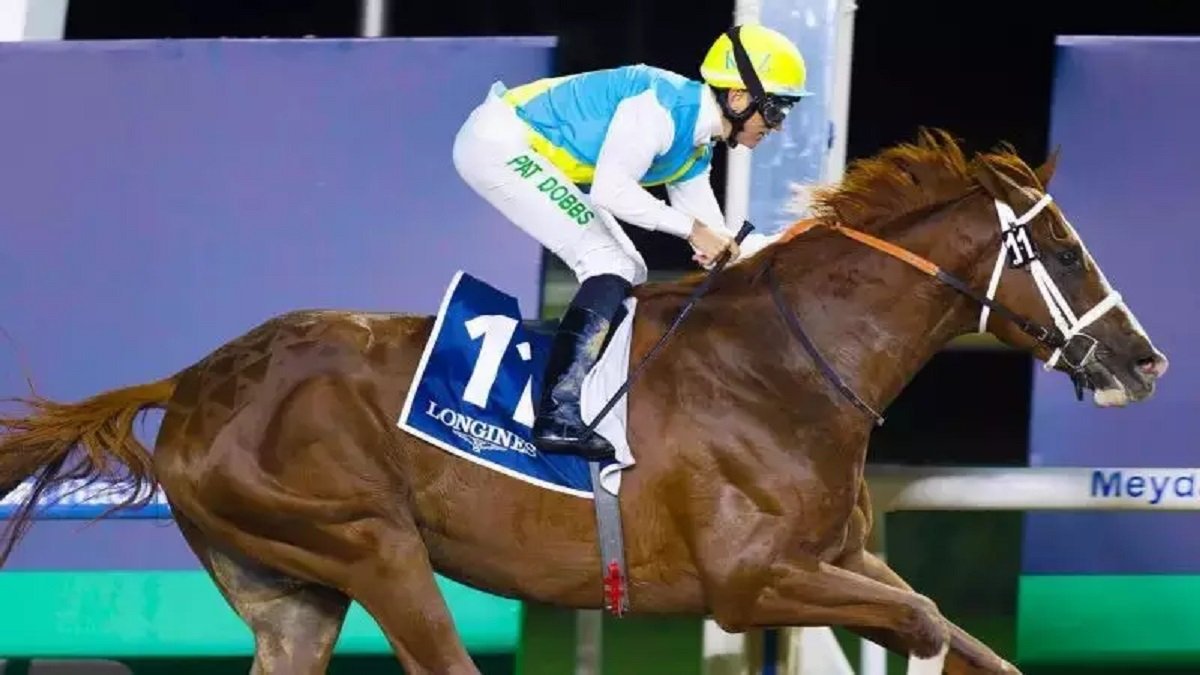 Кабирхан Америкаға жол тартпақ