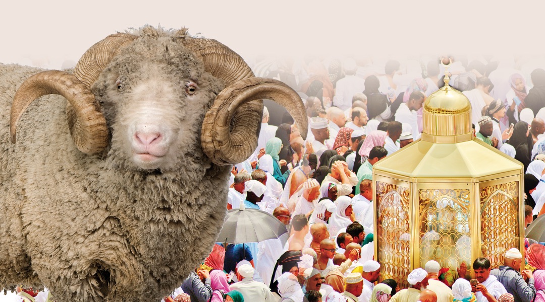 Менің сүйікті әпкеммен жыныстық қатынас