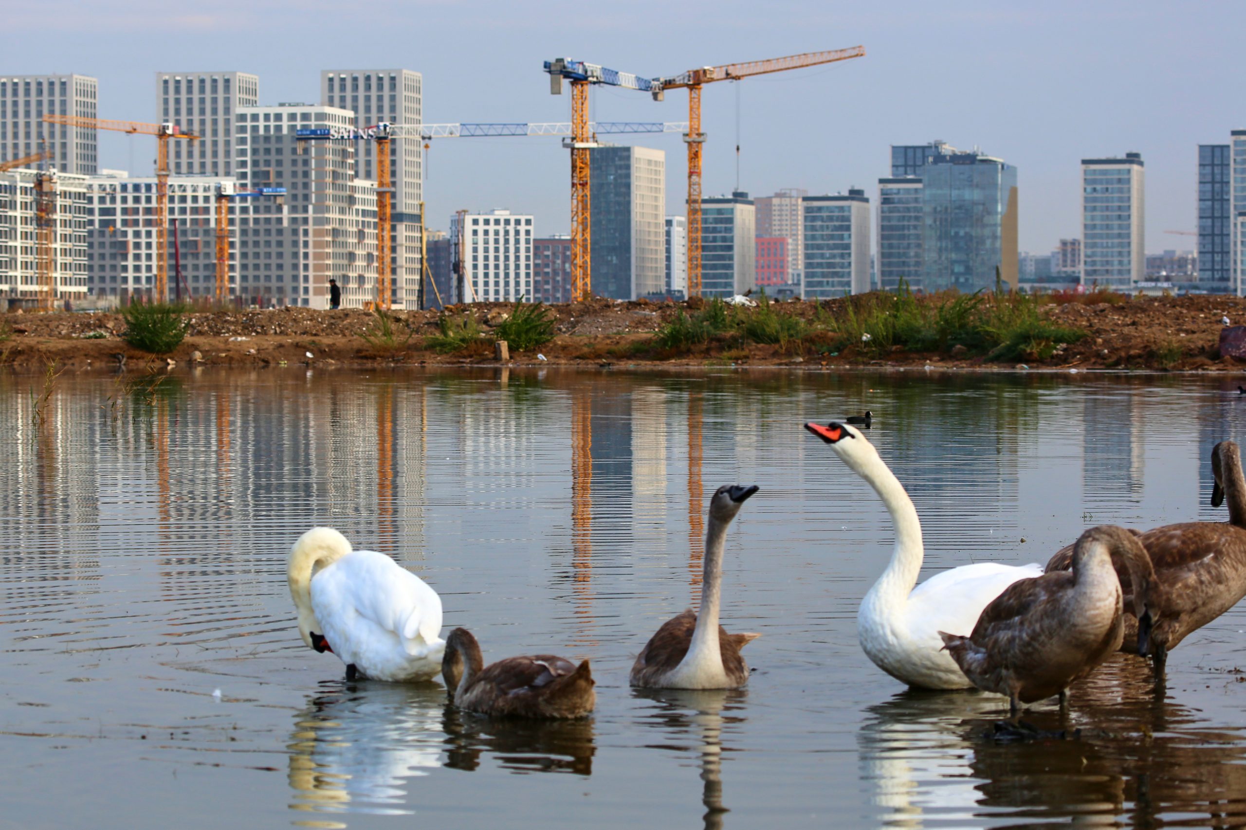 Елорданың қақ ортасында кәріз суы Талдыкөл көліне ағызылып  жатыр