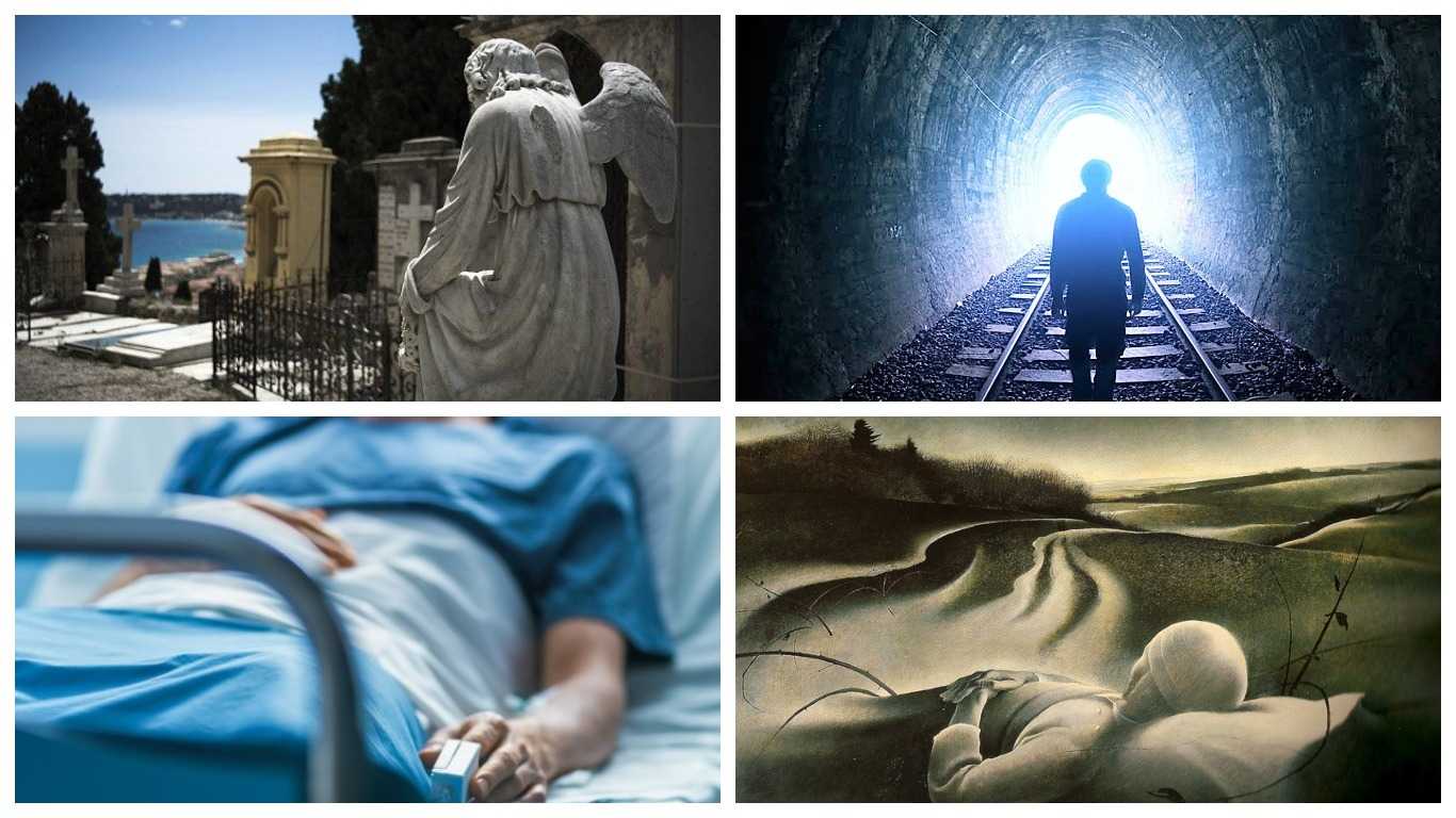 Рогоноз порно видео