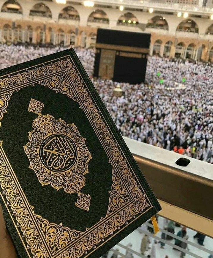 Исламофобияны дін ұстанғандардың өзі шығарды