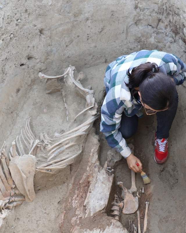 Көне сәнби тайпасының молалары табылды