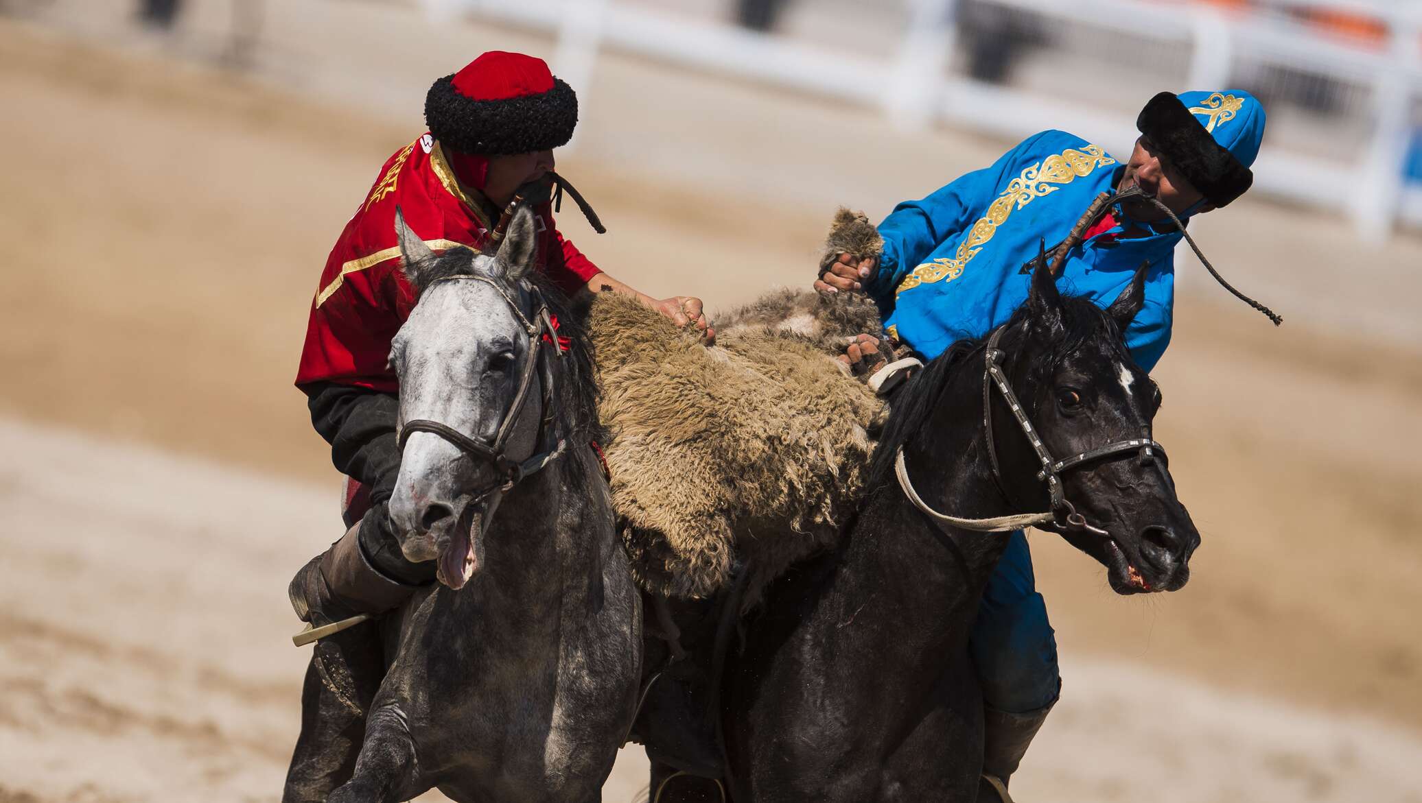 Қырғыздар шақырған реваншқа қазақ көкпаршылар бара ма?