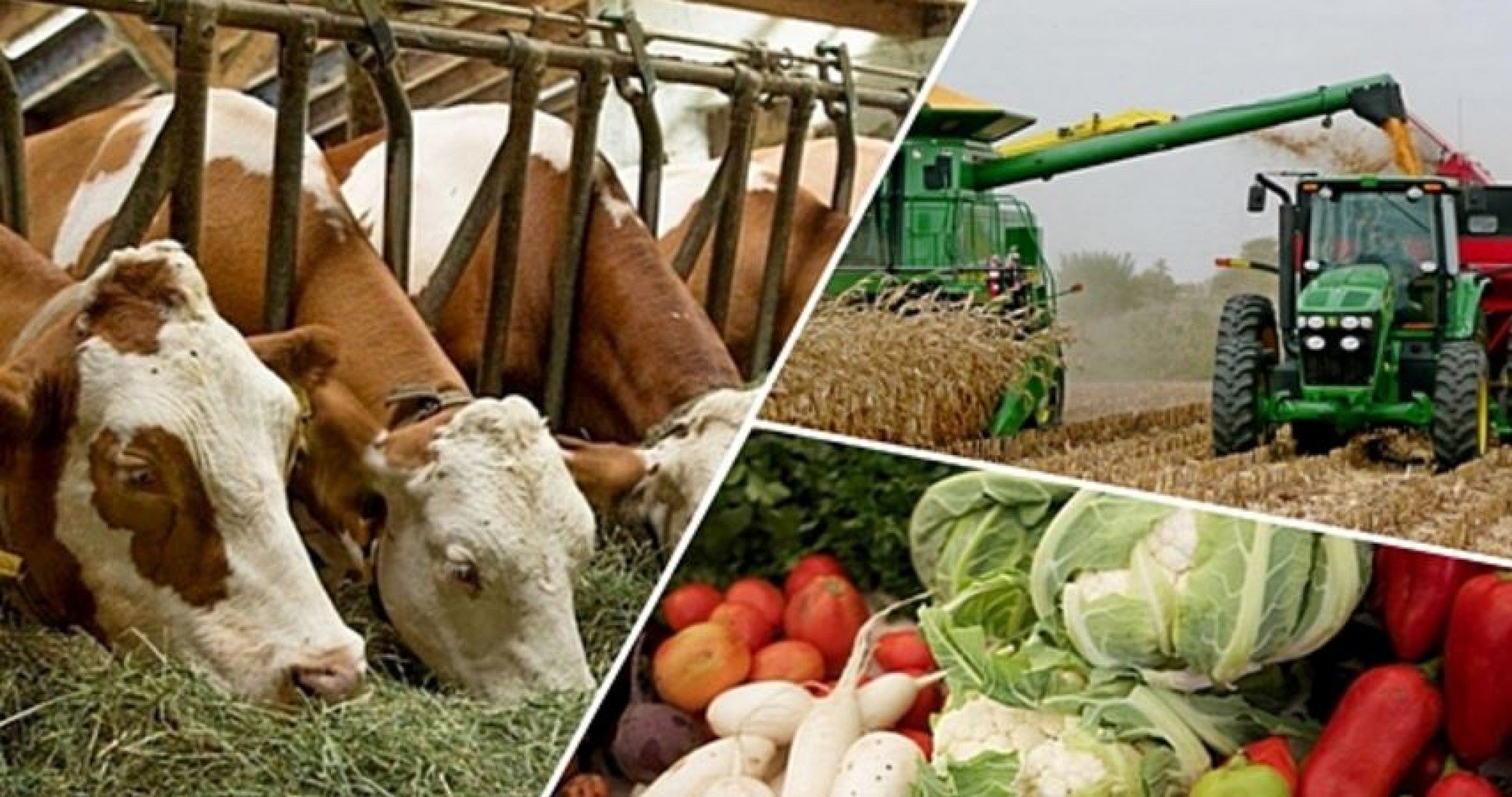 Жер – ауыл шаруашылығы саласына инвестиция тартудың басты кепілі