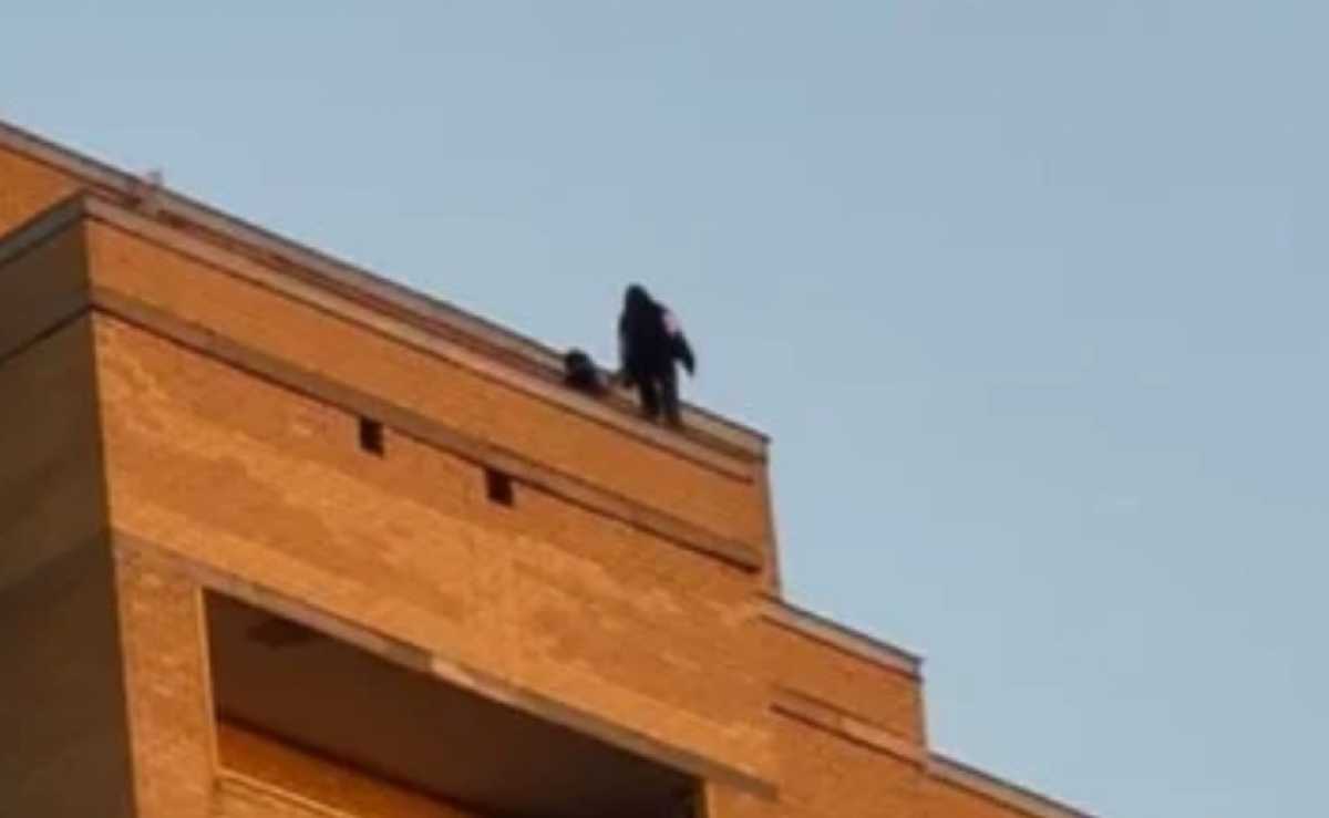 Жеті оқушы биік үйдің шатырында ұсталды