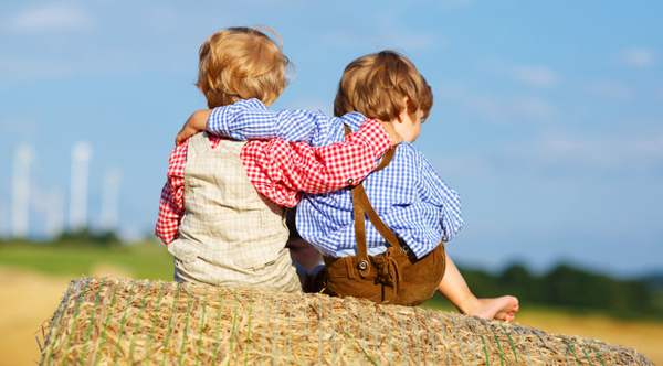 Достықты сақтау қағидалары