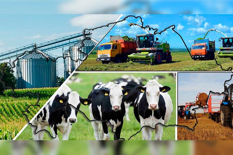 Қазақстандағы ғалымдардың жағдайы мүшкіл