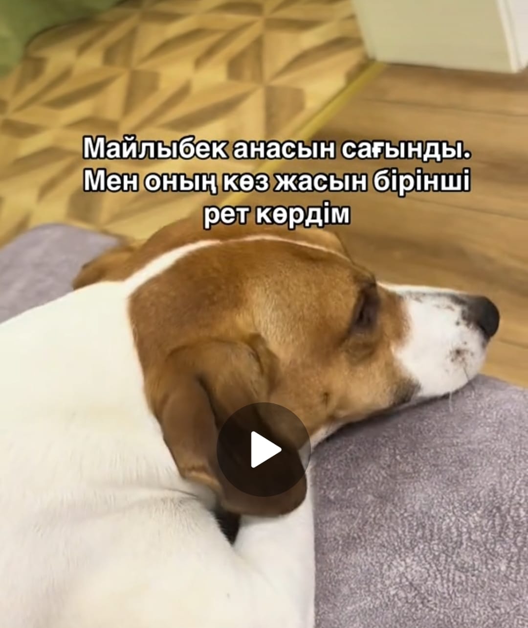 Өзімді жылаған фото