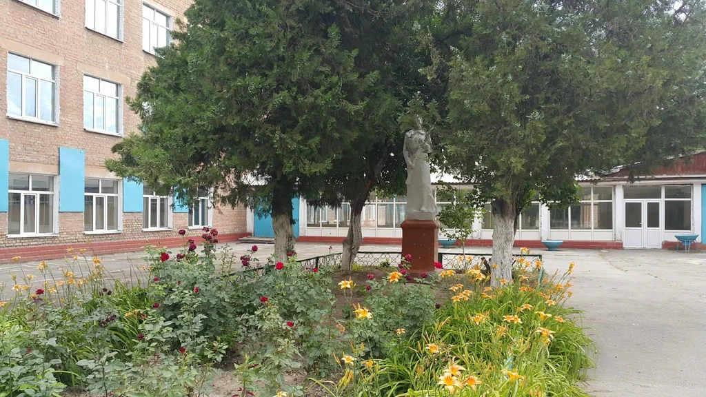 Мектептегі бала шешінетін бөлмеге бақылау камера орнату дұрыс па?