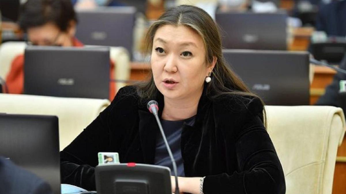 Баланы үйде қалдыруға қатысты заң керек пе?