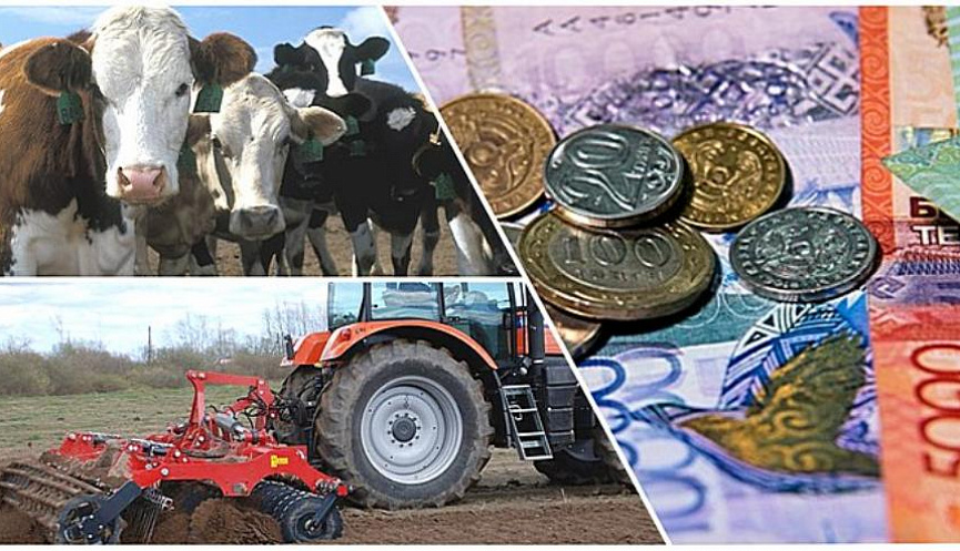 Енді фермерлерге субсидия берілмейді