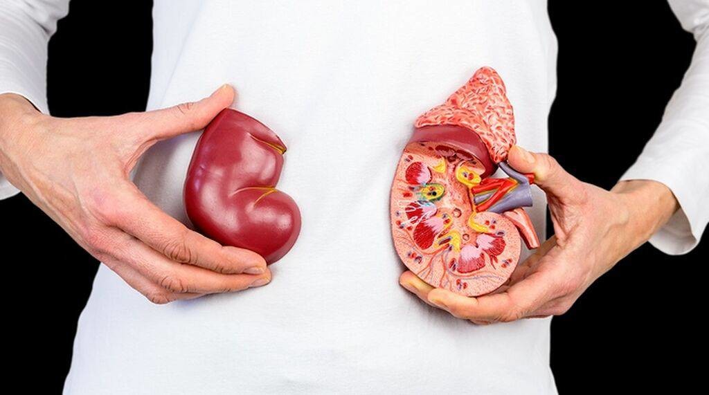 Бүйрегін сатпақ болған азамат бар шындықты айтып берді