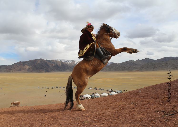 Жылқыны алғаш қолға үйреткен - Исмаил пайғамбар емес!