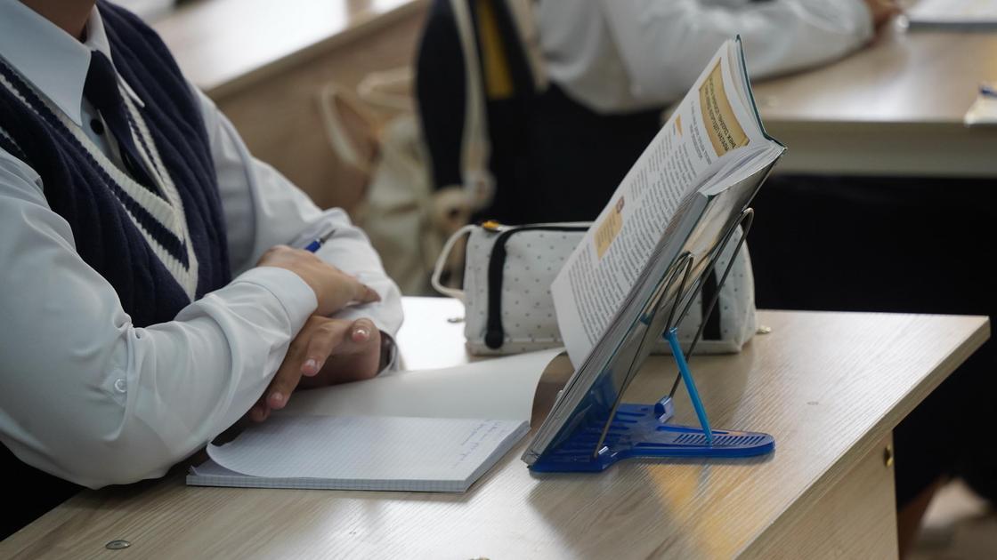 Тиімсіз түрлі жобалар білім саласын былыққа батыруда