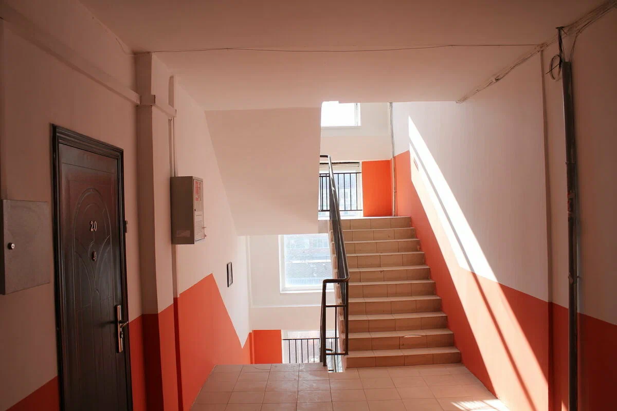 Подъездегі ұятсыз тірлік: Малдан әрі екен бұлар (ВИДЕО)