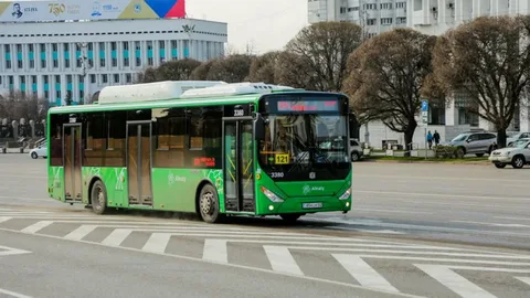 "Жаңа адамдар" автобустардағы "қояндарға" арналған науқан бастады