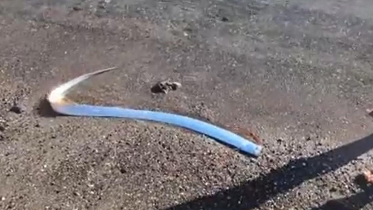 Порно видео: Аузындағы спермы көп