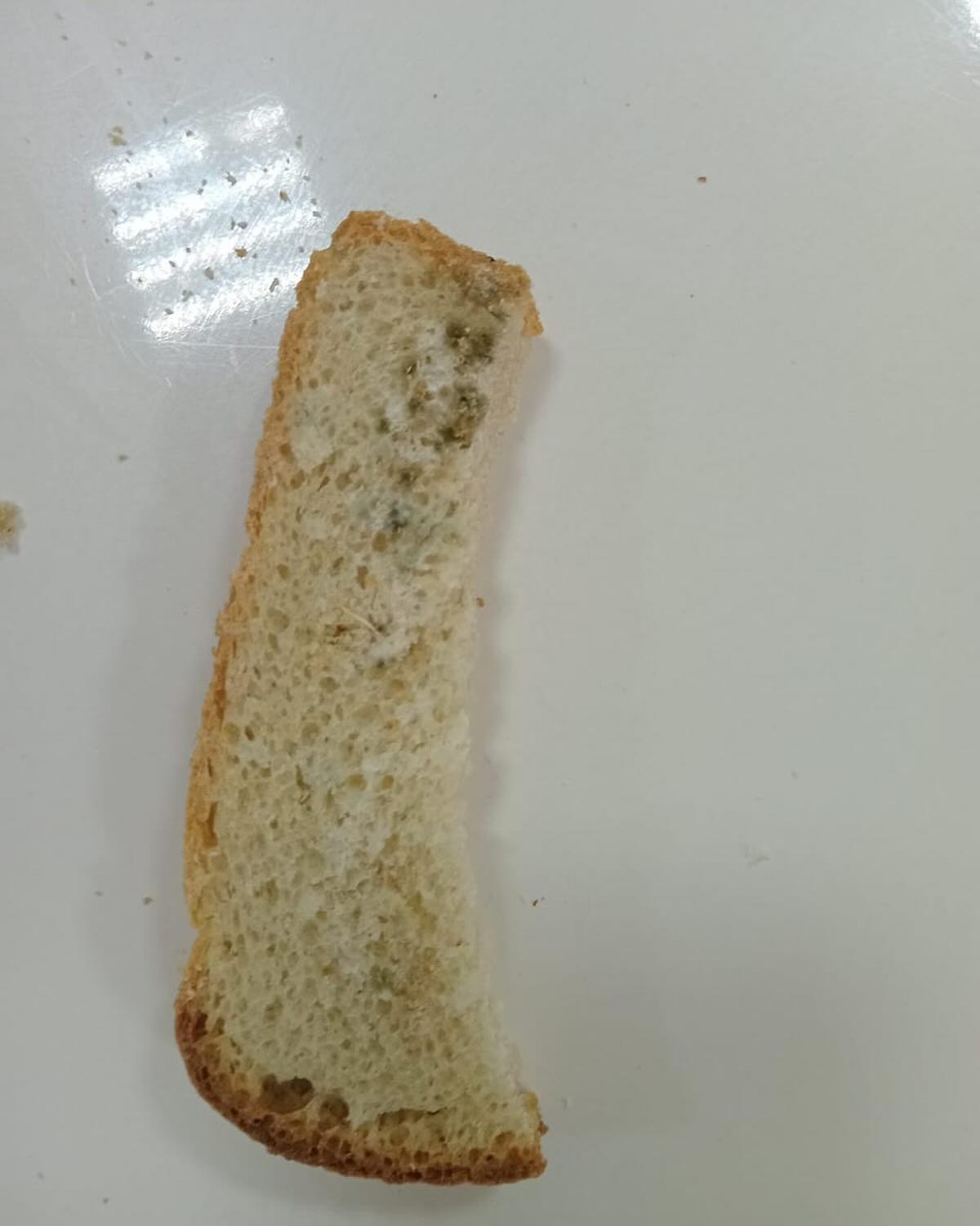 Мектеп асханасы: Балаларға көгерген нан берген