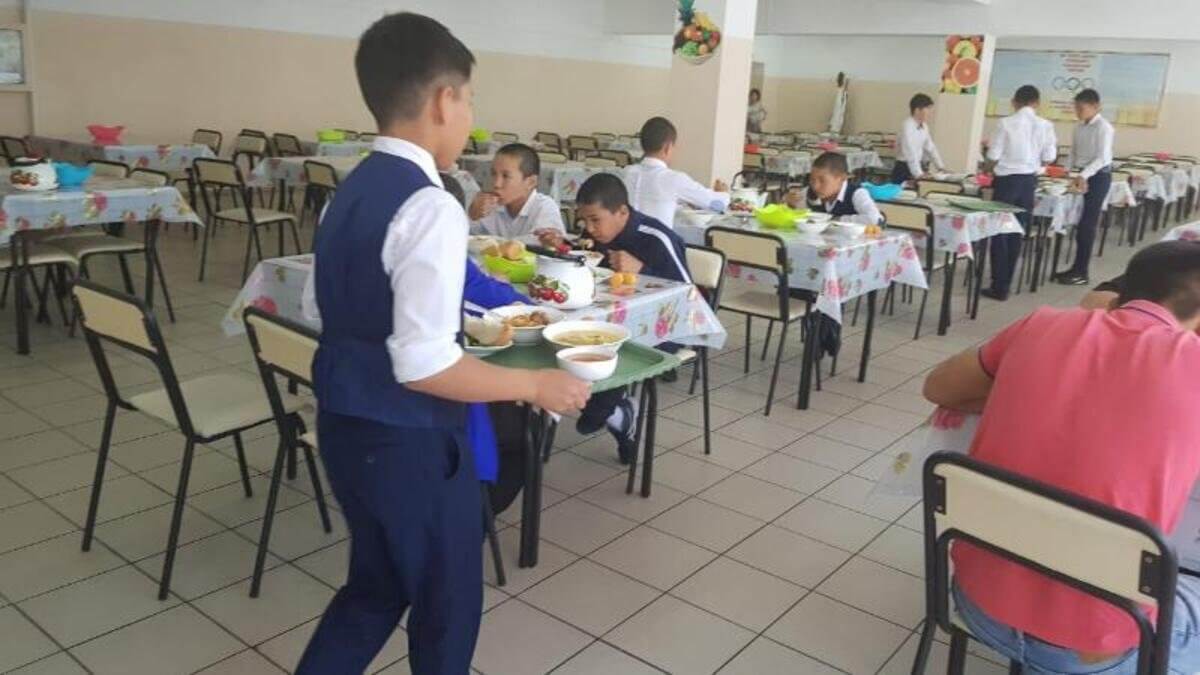 Бұралқы иттерге - 20 мың, оқушының тамағына - 840 теңге бөлетін елміз