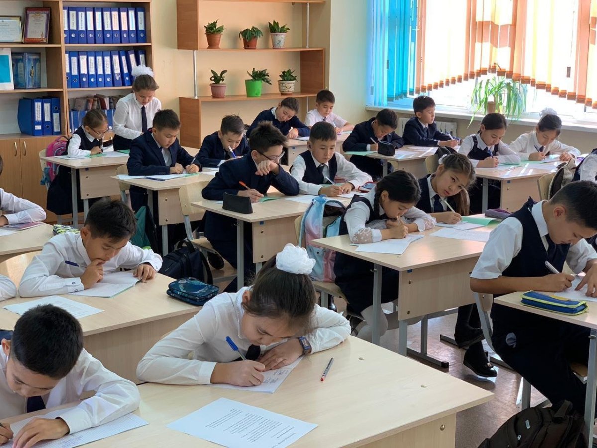 Мұғалімге мүмкіндік бермейтін министрлік көрінгеннің жобаларын білім саласына тықпалап әлек