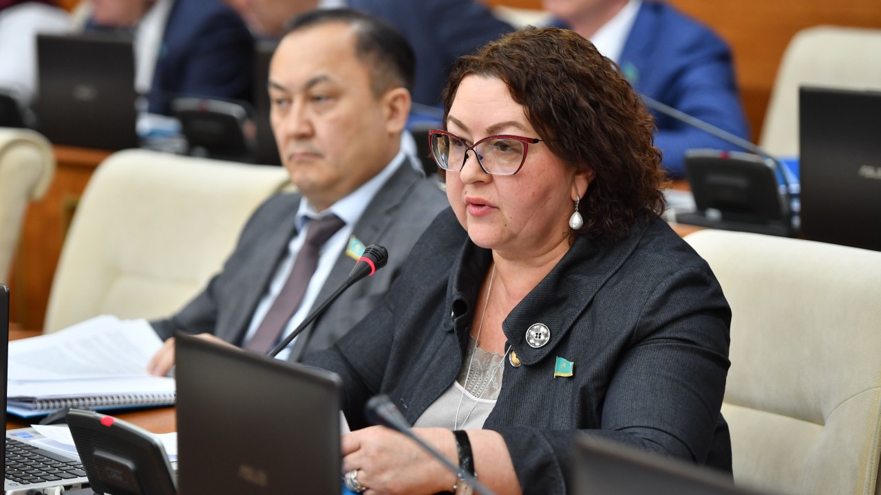 "Маған әлеуметтік желіде тіл тигізуде" дейді депутат Смирнова