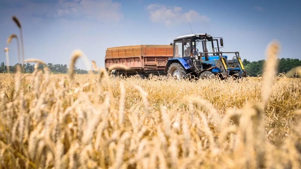Олжас Бектенов биылғы егіншілік саласын қанша ақша бөлінетінін мәлімдеді