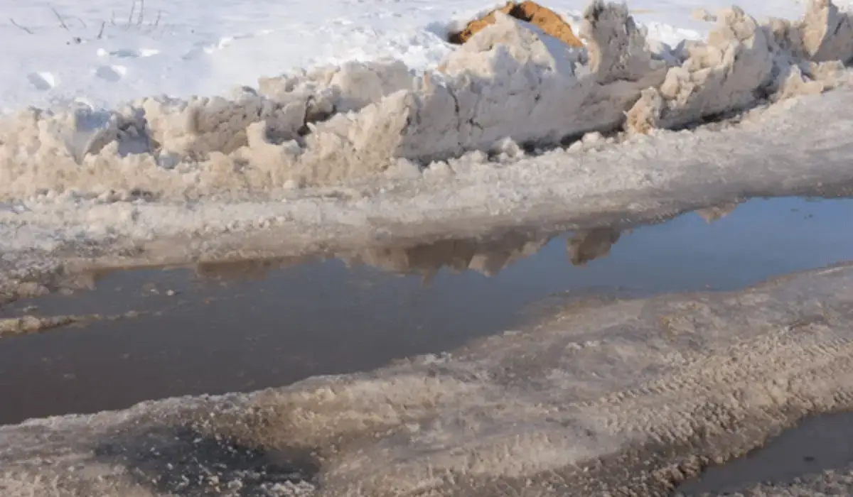 Қазақ-Ресей шекарасындағы автожолға су жайылды