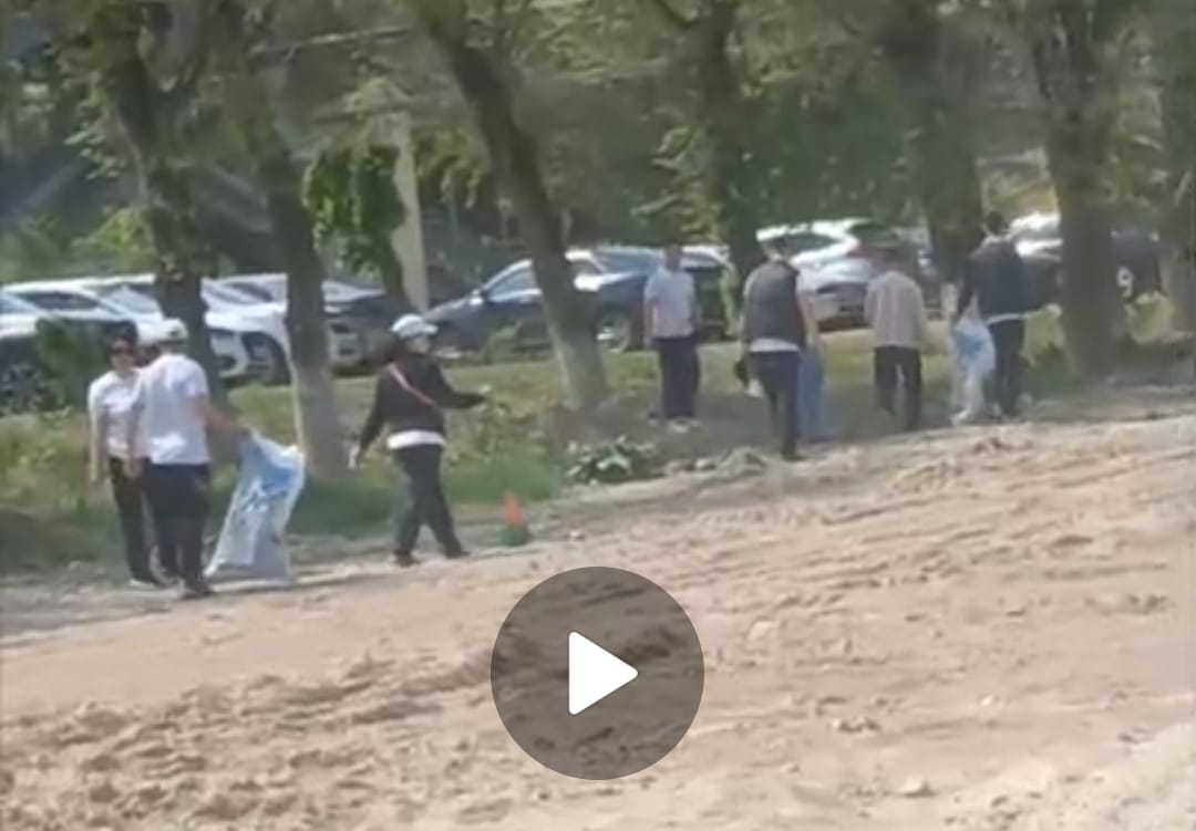 Жайлы мектептің мұғалімдері қоқыс теріп, көшеде жүр (ВИДЕО)