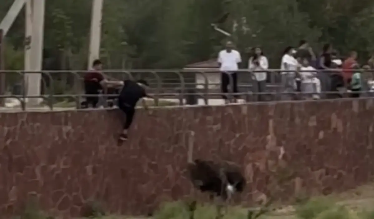 Шымкентте зообақта түйеқұсты тепкен