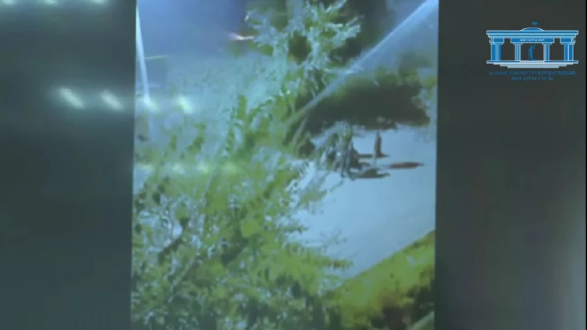 Шерзатты бір топ адамның ұрып-соққан видеосы көрсетілді