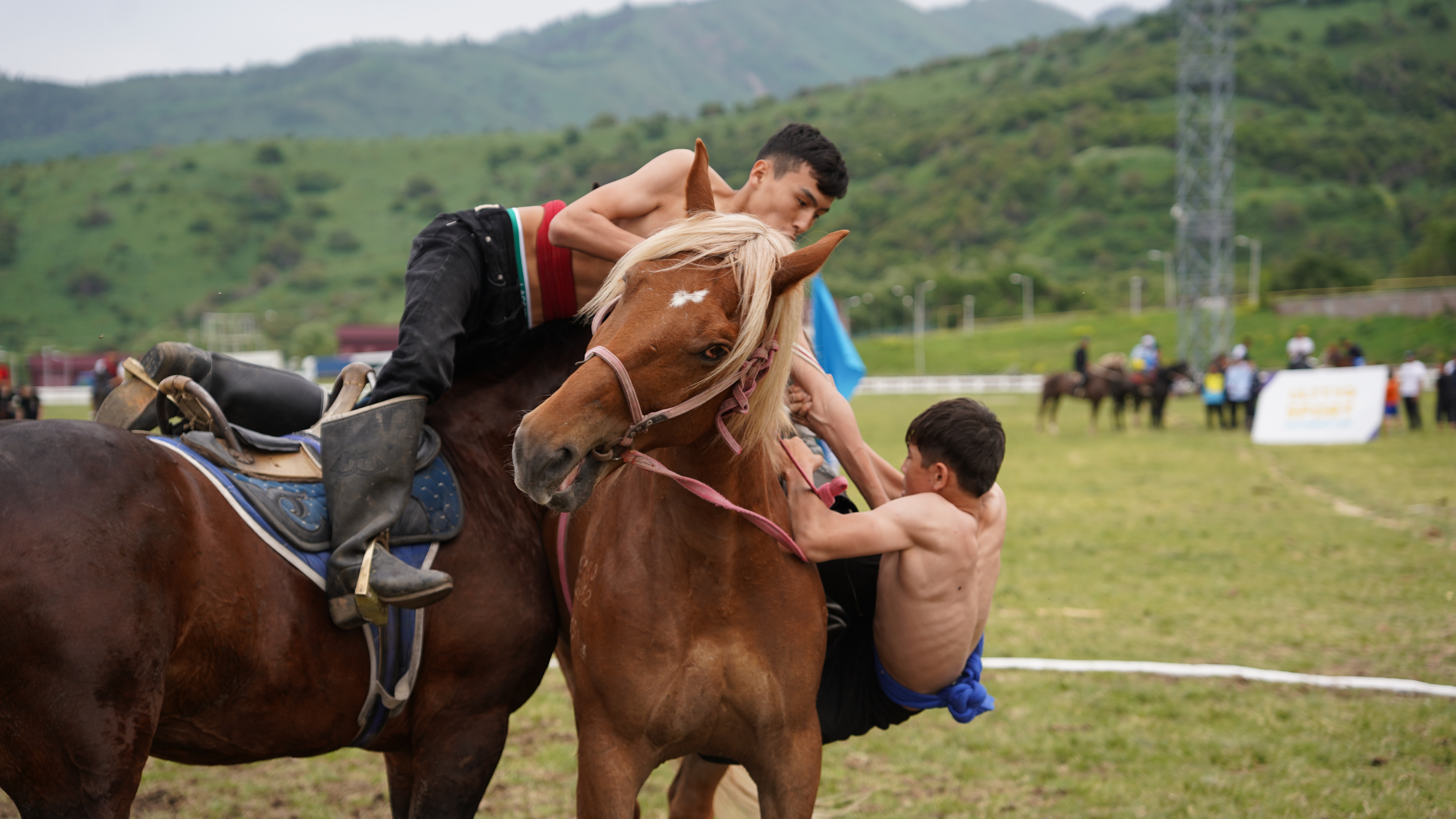 Аударыспақ: танымалдығы  жыл сайын артып келеді  
