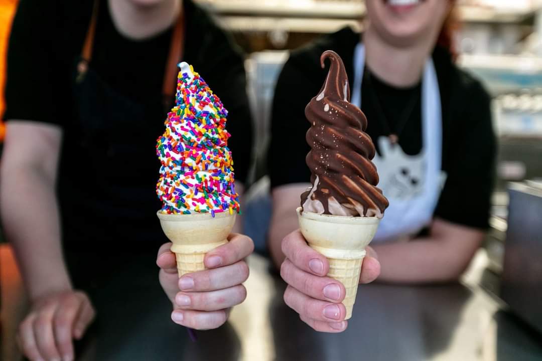 Шымкенттік кәсіпкер тегін балмұздақ таратқаны үшін 5 тәулікке қамауға алынды