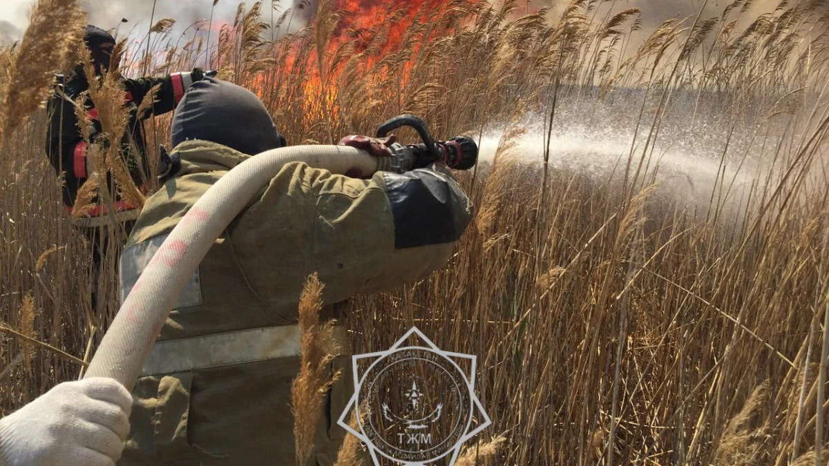 Атырау облысында қамыс өртеніп жатыр