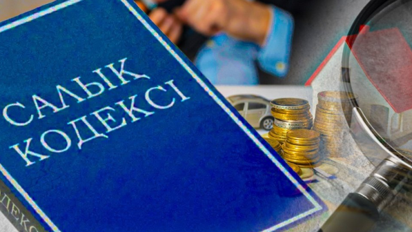 Сенат Салық кодексін Мәжіліске кері қайтарды