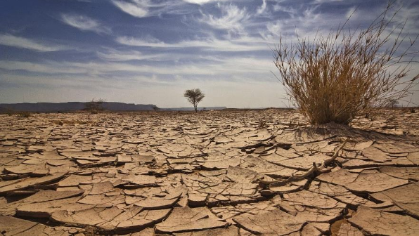 В 12 регионах Казахстана в июле прогнозируется засуха