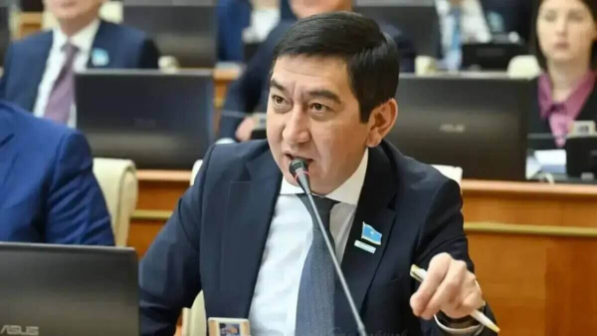 "Мұны мойындаңыз, Ринат мырза!" деген журналист депутатты сынға алды