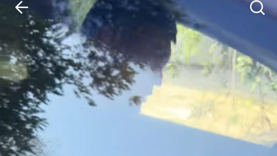 Уфадағы секс қызметтері