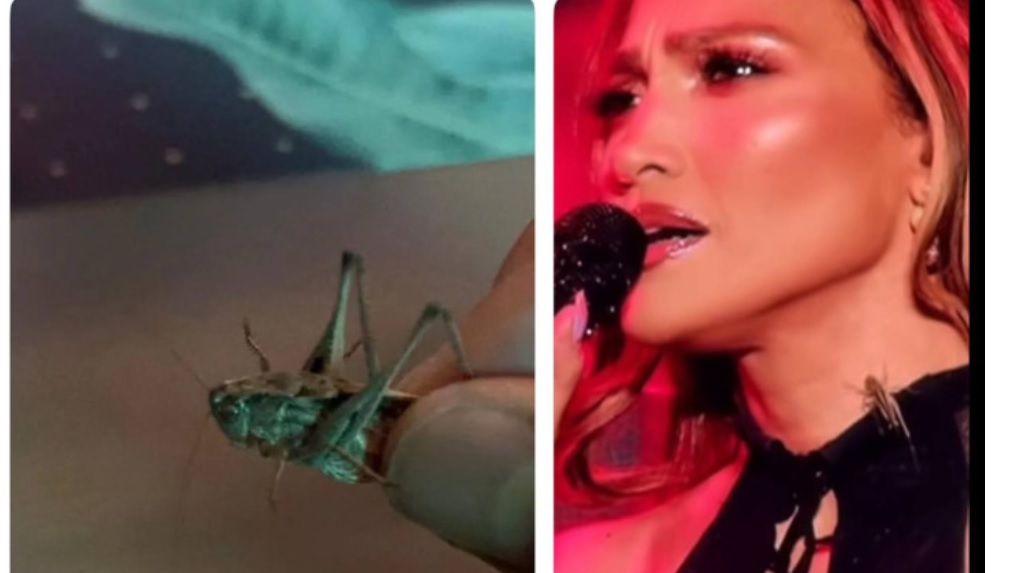 Джей Ло-ның Алматыдағы концертінде күтпеген жағдай орын алды