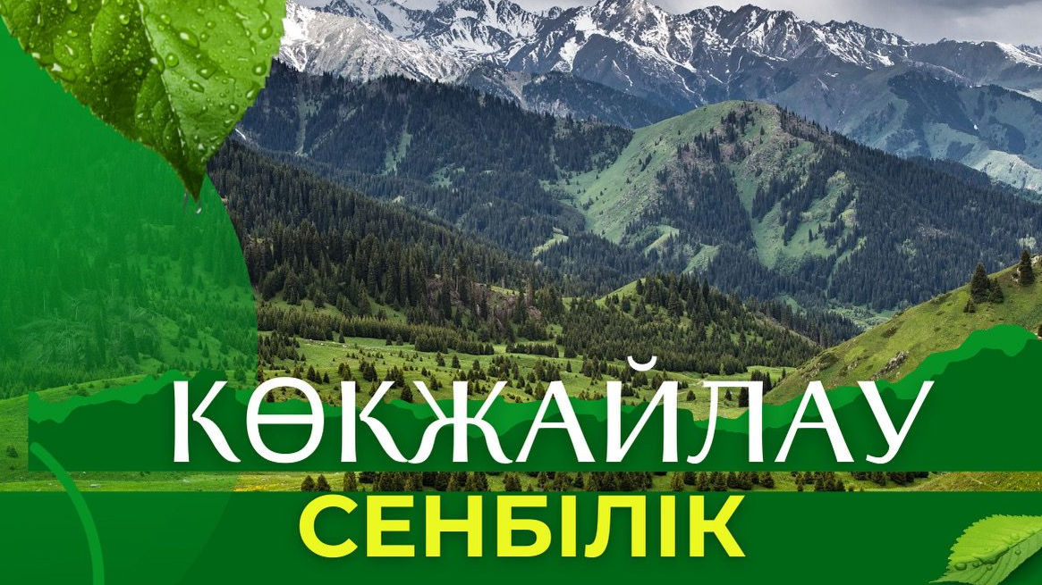 Көкжайлау аумағында экологиялық сенбілік өтті