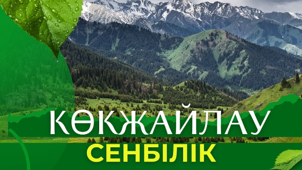 Көкжайлау аумағында экологиялық сенбілік өтті