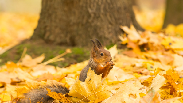 1 қазаннан бастап не өзгереді?