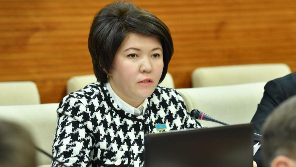 Министрге ұсыныс: "Мектепті төмендегі проблемалардан  құтқарыңыз"дейді қоғам белсендісі