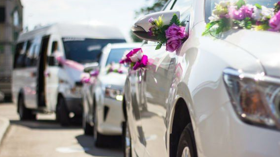 Дарақылық: Той кортежі жазаланды