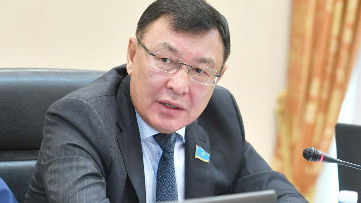 Сенатор алкогольдің зиянын айтып, ішімдікке түбегейлі тыйым салу керегін айтты