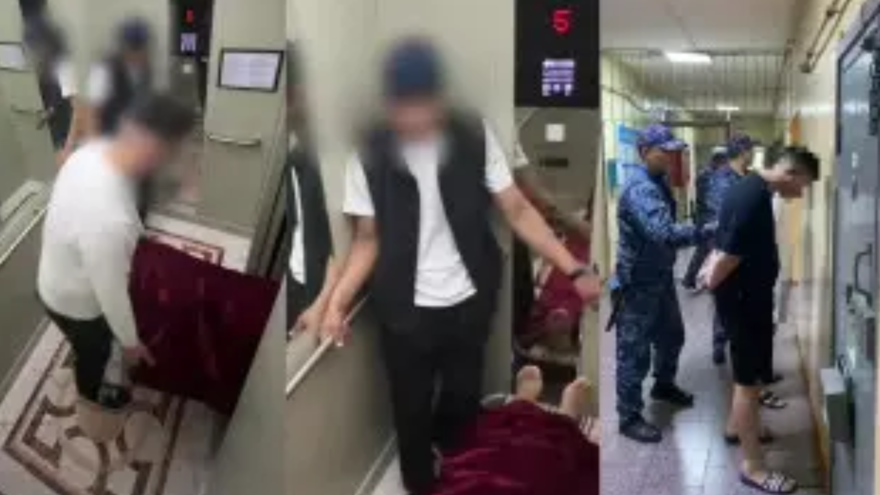 Шешендер жыныстық қатынасқа түседі