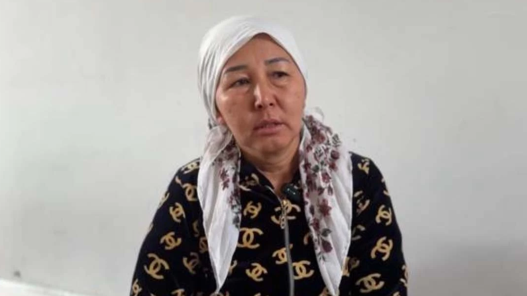 Семіз әйелдерді көрсететін кез келген эротикалық фильм