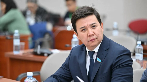 Депутат өзінің некесіз туған баласы барын мойындады