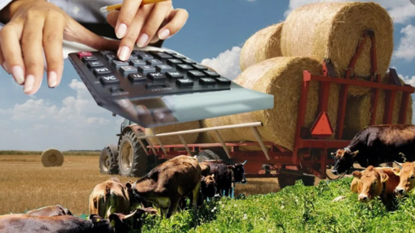 Ауыл шаруашылығында мамандар жетіспейді деді Тоқаев.